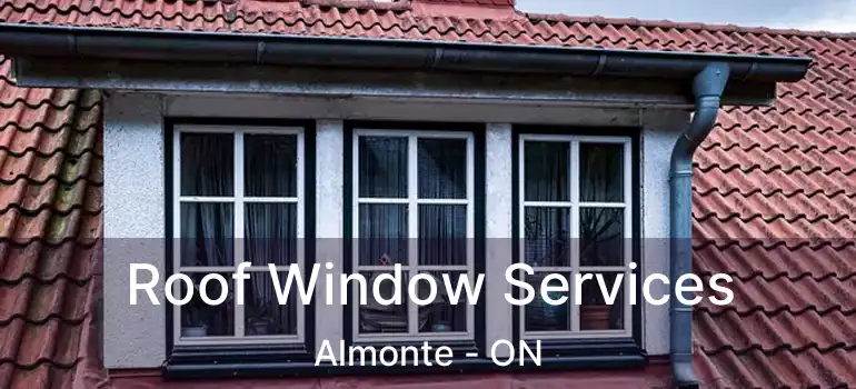  Roof Window Services Almonte - ON