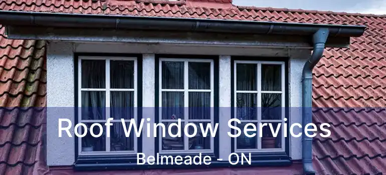 Roof Window Services Belmeade - ON