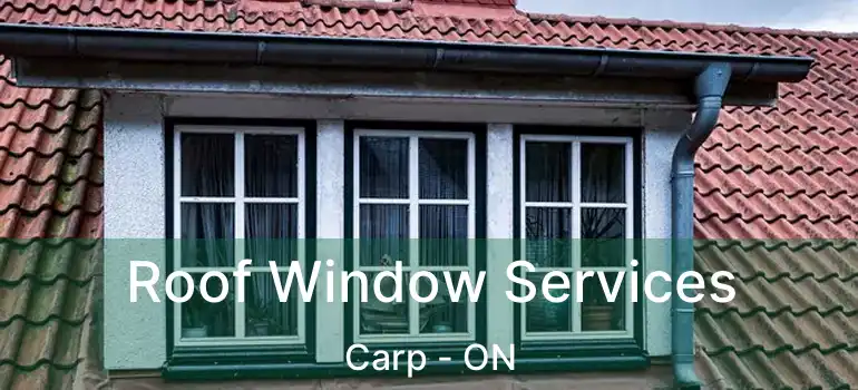 Roof Window Services Carp - ON