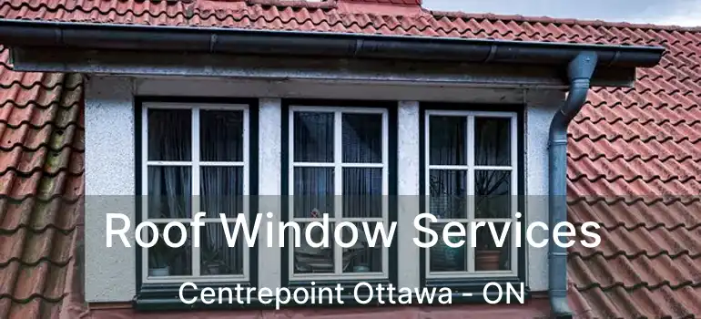  Roof Window Services Centrepoint Ottawa - ON