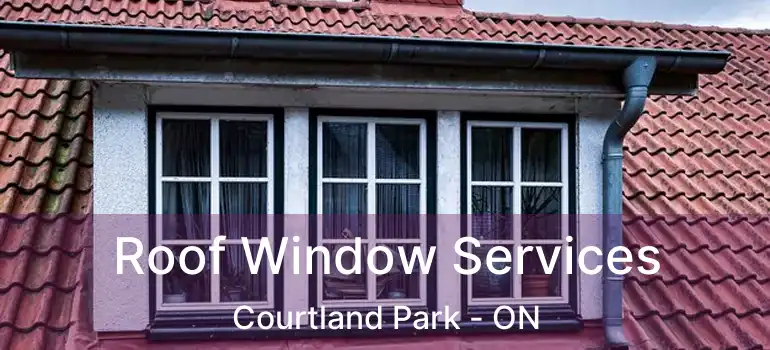 Roof Window Services Courtland Park - ON