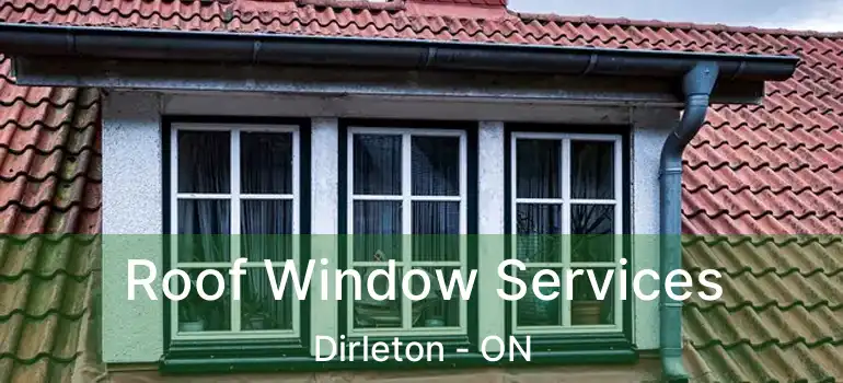 Roof Window Services Dirleton - ON