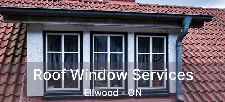 Roof Window Services Ellwood - ON