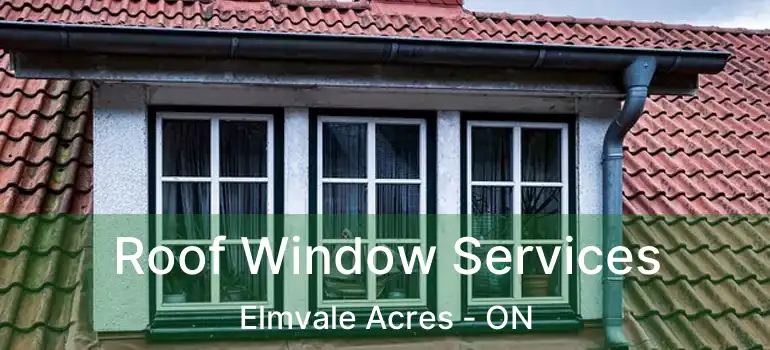 Roof Window Services Elmvale Acres - ON