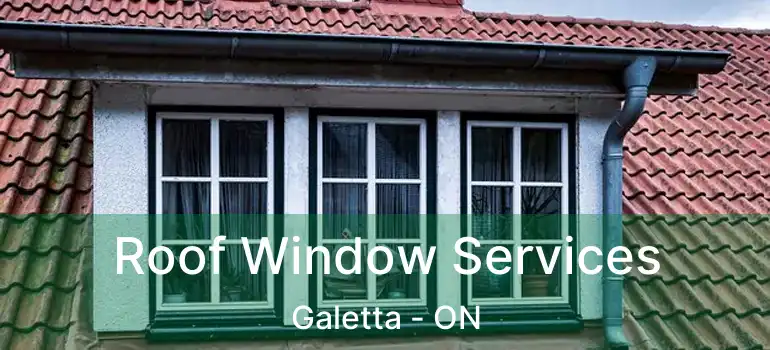 Roof Window Services Galetta - ON