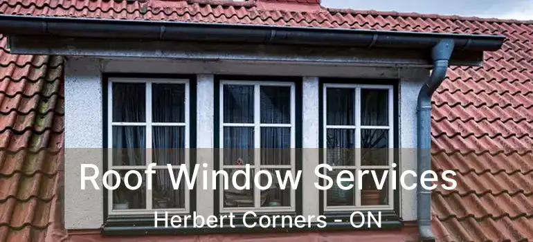  Roof Window Services Herbert Corners - ON