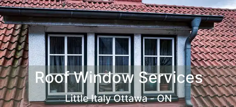 Roof Window Services Little Italy Ottawa - ON