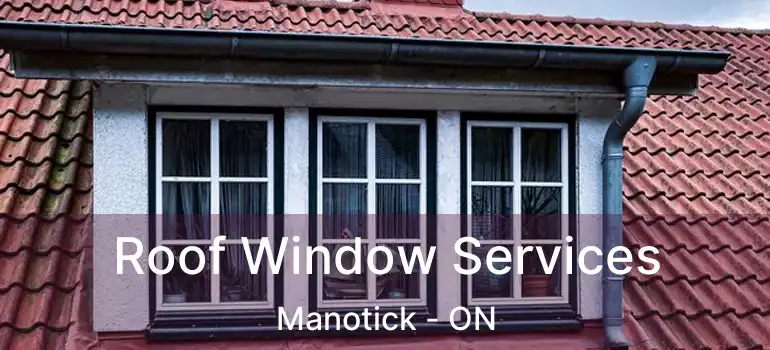Roof Window Services Manotick - ON