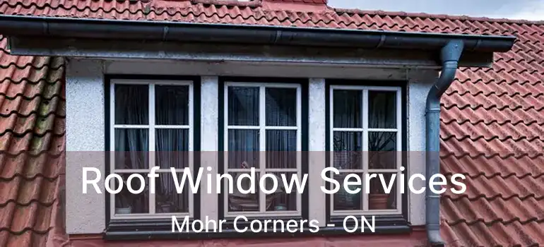Roof Window Services Mohr Corners - ON