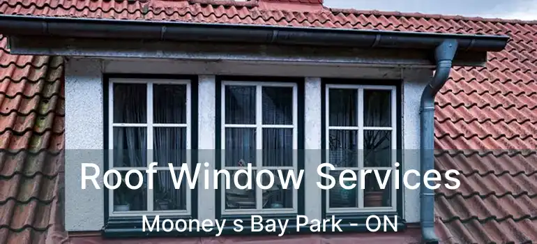 Roof Window Services Mooney s Bay Park - ON