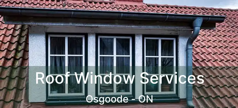 Roof Window Services Osgoode - ON