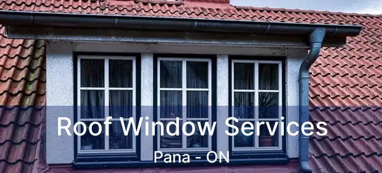  Roof Window Services Pana - ON
