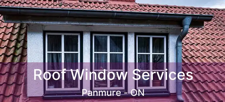 Roof Window Services Panmure - ON