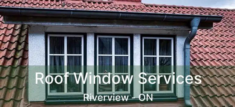 Roof Window Services Riverview - ON