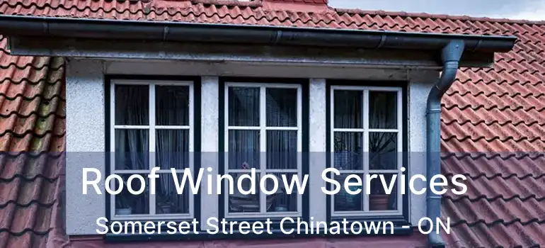  Roof Window Services Somerset Street Chinatown - ON
