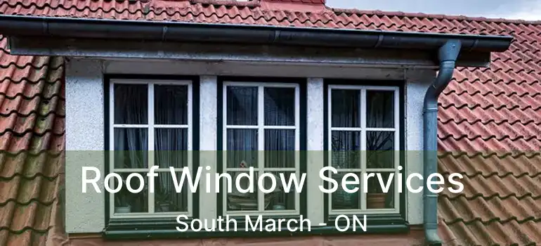  Roof Window Services South March - ON