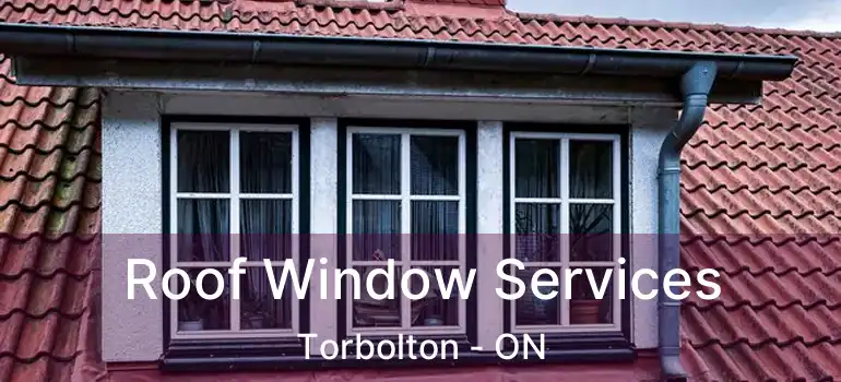 Roof Window Services Torbolton - ON
