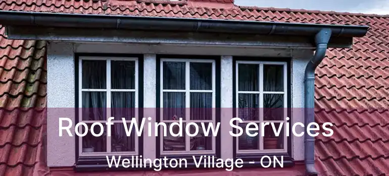 Roof Window Services Wellington Village - ON