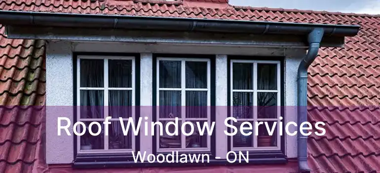  Roof Window Services Woodlawn - ON