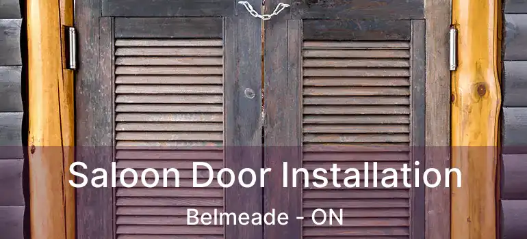 Saloon Door Installation Belmeade - ON