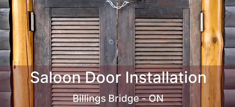 Saloon Door Installation Billings Bridge - ON