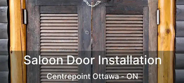 Saloon Door Installation Centrepoint Ottawa - ON