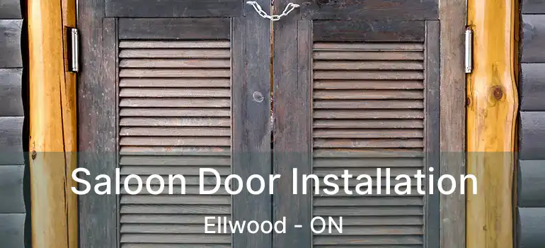Saloon Door Installation Ellwood - ON
