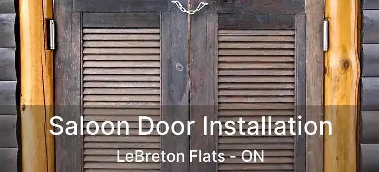 Saloon Door Installation LeBreton Flats - ON