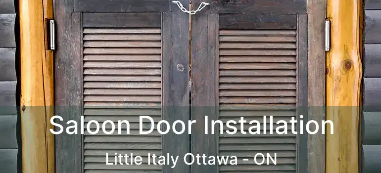 Saloon Door Installation Little Italy Ottawa - ON