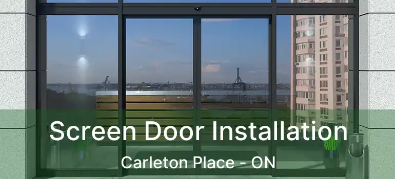 Screen Door Installation Carleton Place - ON