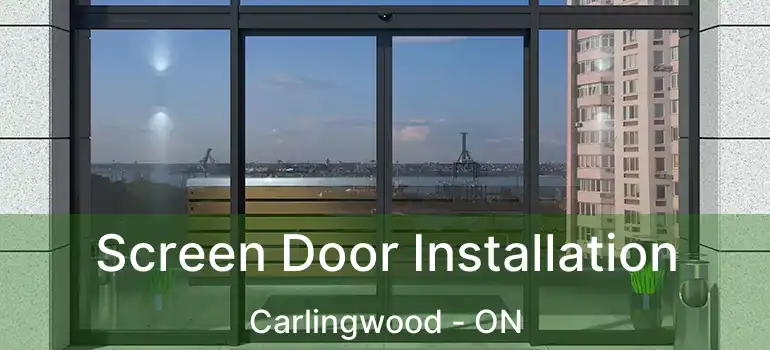 Screen Door Installation Carlingwood - ON