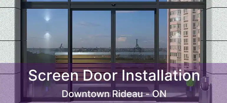 Screen Door Installation Downtown Rideau - ON