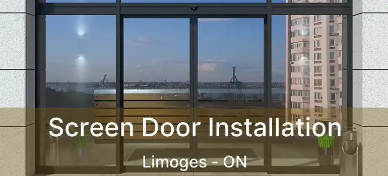  Screen Door Installation Limoges - ON