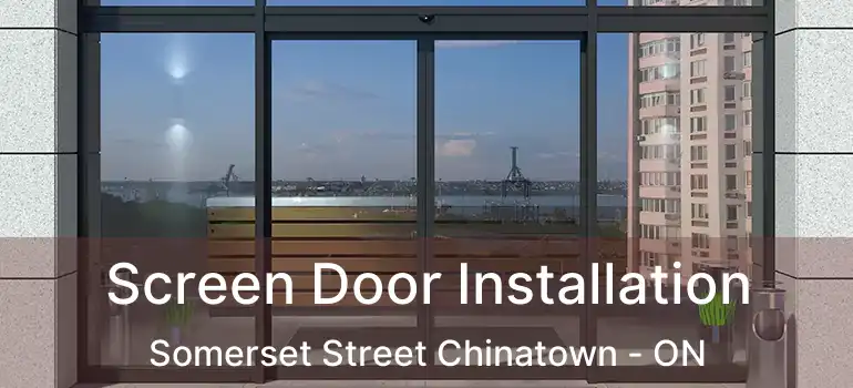 Screen Door Installation Somerset Street Chinatown - ON