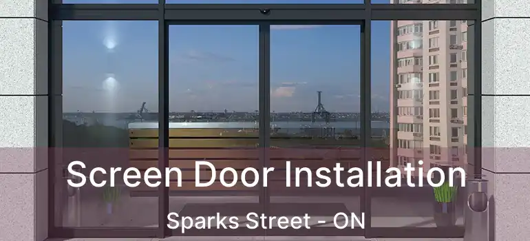 Screen Door Installation Sparks Street - ON