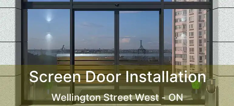 Screen Door Installation Wellington Street West - ON