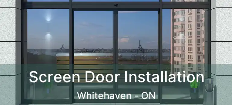  Screen Door Installation Whitehaven - ON