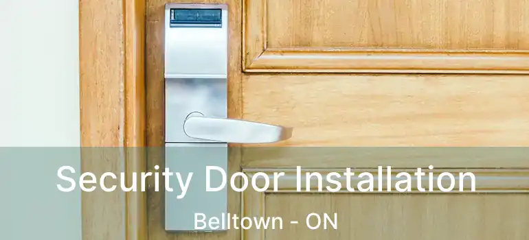  Security Door Installation Belltown - ON