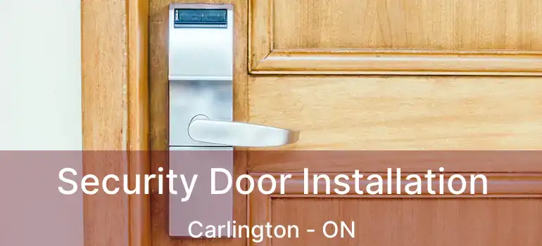 Security Door Installation Carlington - ON