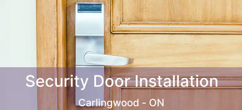 Security Door Installation Carlingwood - ON