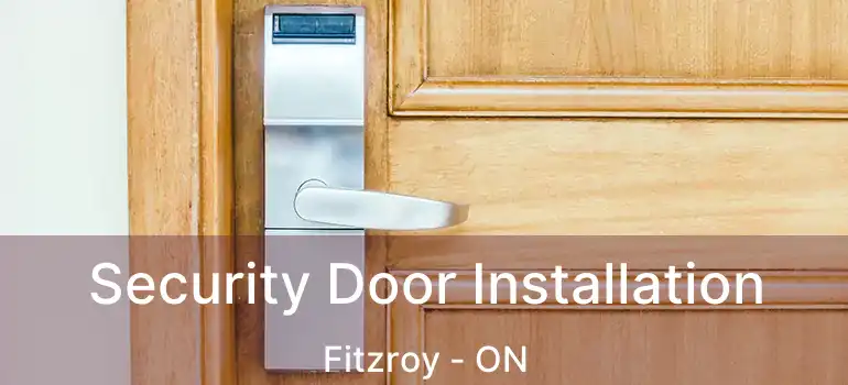 Security Door Installation Fitzroy - ON