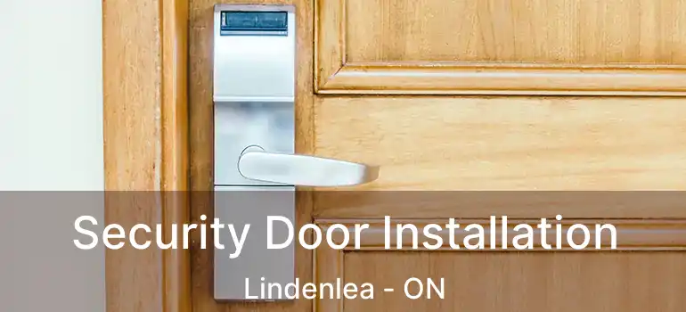 Security Door Installation Lindenlea - ON