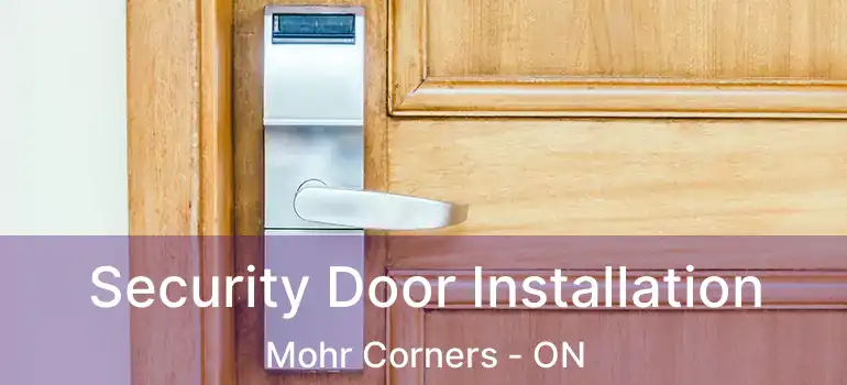 Security Door Installation Mohr Corners - ON