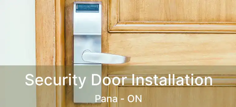 Security Door Installation Pana - ON