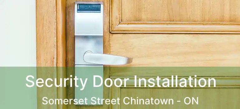  Security Door Installation Somerset Street Chinatown - ON