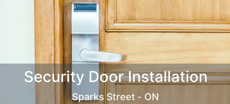 Security Door Installation Sparks Street - ON