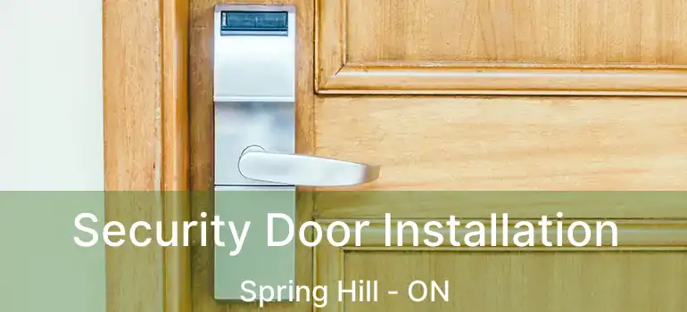 Security Door Installation Spring Hill - ON