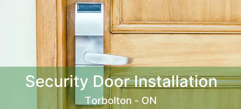  Security Door Installation Torbolton - ON