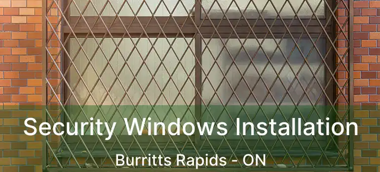 Security Windows Installation Burritts Rapids - ON