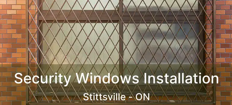 Security Windows Installation Stittsville - ON